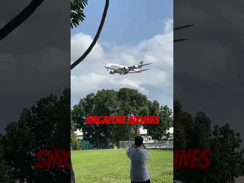 Singapore airlines flight ✈️ #sho#ytshorts #singapore #singaporelife #imvikasrawat #youtuber #viral