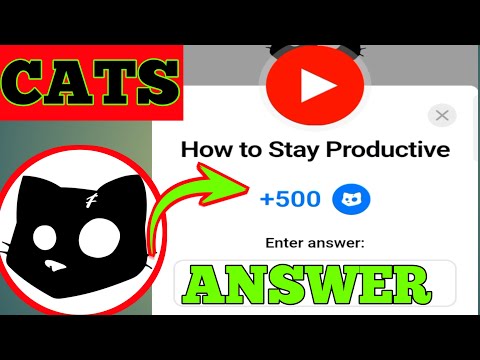 How to stay productive|cats New code answer|cats today new answer |how to stay productive answer