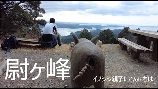 2023 03 12 尉ヶ峰でイノシシ親子にこんにちは 4K