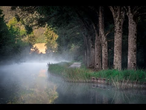 Grand Victoria Barge in Burgundy France