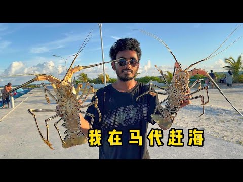 Maldives:The locals actually use this method to catch big lobsters