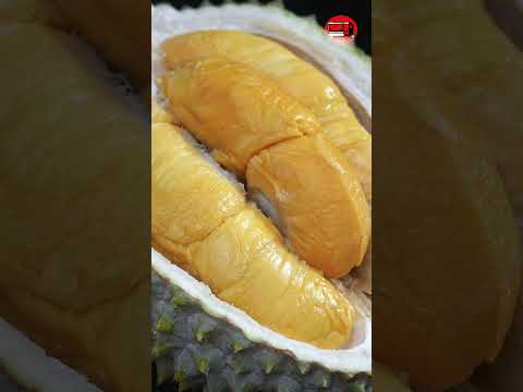 Best Mao Shan Wang Durian from Pahang Malaysia