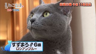 ねこ自慢＃3ご出演ニャンコたち【5月5日OA】