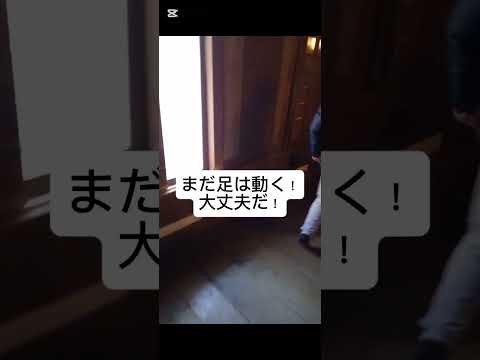 姫路城に行きました！#兵庫県#姫路#姫路城#お城#vlog#shorts