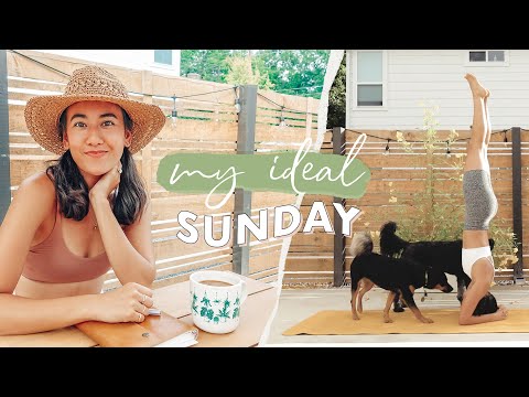 Sunday Vlog 🍵🥕🌱 | morning routine, farmer's market, potting plants (and a tooth snafu...not ideal)