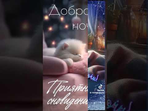 #tiktokvideo#спокойнойночисладкихснов🌌🌃😇😻😻😻