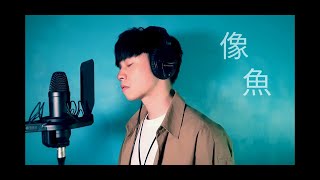 【 像鱼 】王贰浪｜ 黃長俊 Jeff Ng 翻唱 COVER