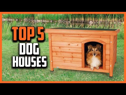 ✅ Top 5 Best Dog Houses Review 2024