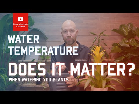 Does water temperature💦 🌡️ matter when watering your plants?