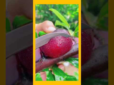 Fruit Cutting Video | Fruit Curving Plum | Iggy Azalea Songs