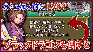 DQ11S 最初からカミュ加入前にレベル99にして悪魔の子になってみた！ブラックドラゴンも倒すと・・・カミュの隠しボイスが！？ドラクエ11S,ドラクエ徹底攻略【メイルス】