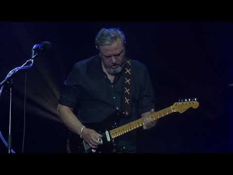 Pink Project - Comfortably Numb solo (Live in Ahoy)