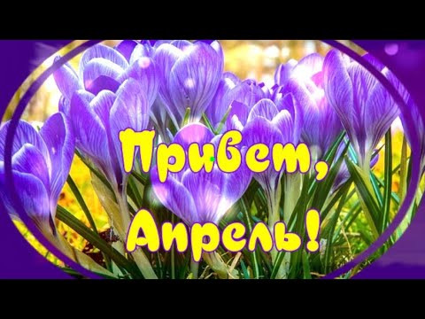 ПРИВЕТ,АПРЕЛЬ!Музыкальное поздравление!