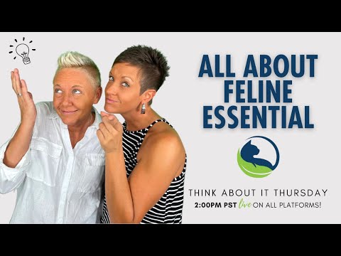 Feline Essential for Cats | Think About It Thursday | Two Crazy Cat Ladies