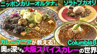 【絶品カレー】奥が深すぎる大阪スパイスカレーの世界！美味すぎてごめん！！【ナジャ・グランディーバのチマタのハテナ】