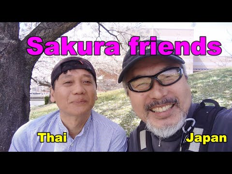 【Welcome to Japan】外人さんにナンパされた！　Sakura Friends 🌸　＃cherryblossom #sakura   #thaibiker 　#外国人