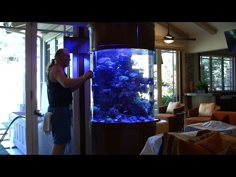 Cylinder Reef Tank Update and Aquarium Service, LA Fishguys Episode 162, Part 1