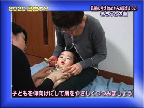 8020日歯TV　乳幼児期-学童期＜３＞乳歯の生え始めから3歳頃まで