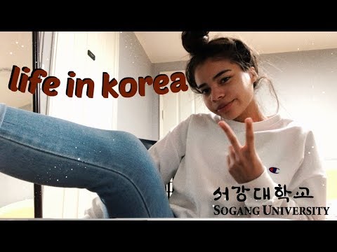 a day in my life in korea