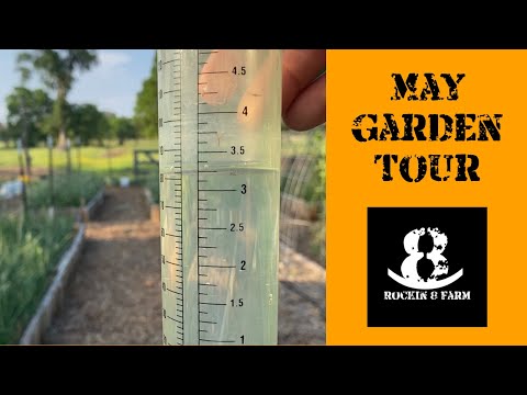 Full Garden Tour May 3rd 2021 | Central Texas Garden