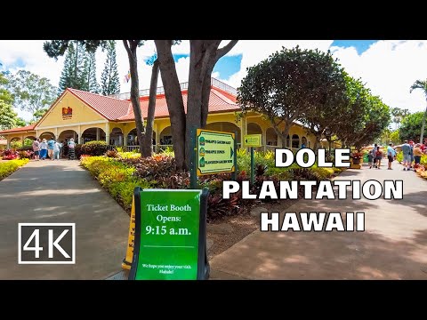 [4K] Dole Pineapple Plantation - Oahu Hawaii USA - Walking Tour