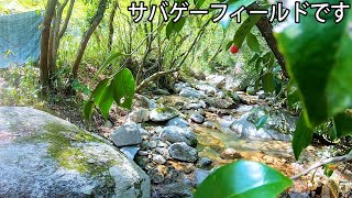 川の中を進むと敵が出てくるフィールド　山水グリーンフィールド