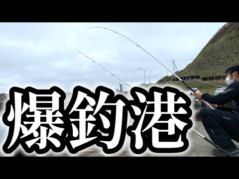 【北海道】【釣り】特大◯◯◯を釣りまくる‼️必見！水中映像