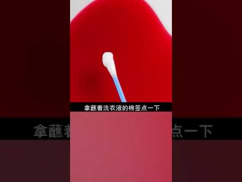 新奇百科 学会这些创意小实验，让孩子成为科学小达人！ #科学小实验 #趣味科学小实验 #亲子互动游戏  @快手