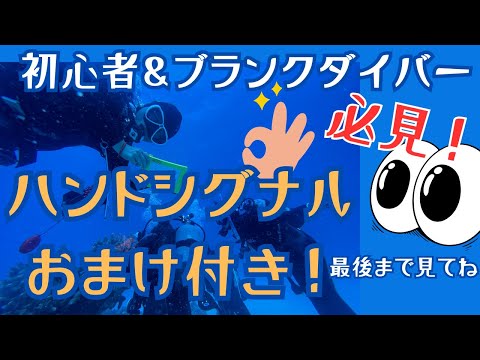 ダイビングインストラクターのダイビング解説動画【初心者さん＆ブランクダイバー必見！！一般的なハンドシグナルとオリジナルシグナル】