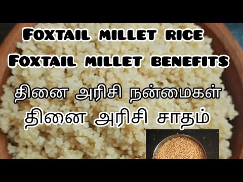 Foxtail rice and foxtail benefits/தினை அரிசி சாதம் குக்கர் இல்லமால் செய்வது எப்படி/தினையின் பயன்கள்