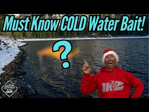 The Secret to Winter Bass Fishing! (Sneaky Bait!)