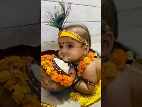 Krishna Janmashtami video #krisna #mathura #vindavan #shorts #video #vlog