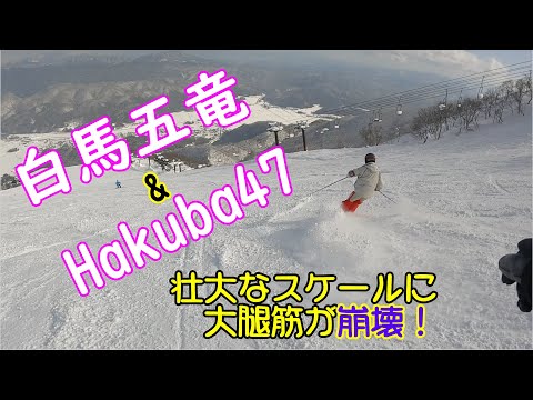 白馬五竜&Hakuba47 壮大なスケールの大パノラマ　数年ぶりに訪れたら大腿筋崩壊