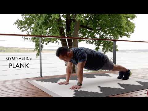 Gymnastics-Style Plank