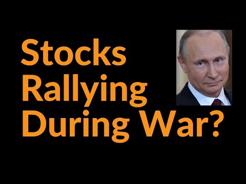 Why Are Stocks Rallying During A War?