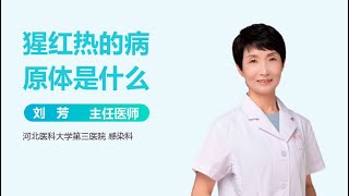 猩红热的病原体是什么 有来医生