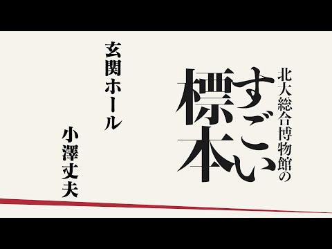 小澤館長　玄関ホール