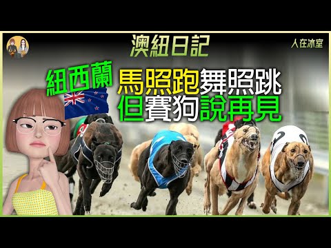 禁賽狗 🇳🇿 紐西蘭賽狗成歷史🐕‍🦺Winston Peters禁賭博渠道💵好定懷？New Zealand Greyhound Racing Becomes History!