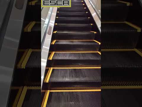 [New!] Cross Mukogaoka Escalator 2F-3F #shorts