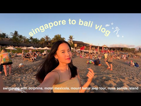 bali diaries pt.2 | swimming with dolphins, motel mexicola, mt batur jeep tour, nusa penida islands