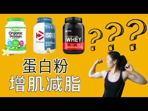 Does protein powder help you build muscle? 蛋白粉有助于增强肌肉吗？