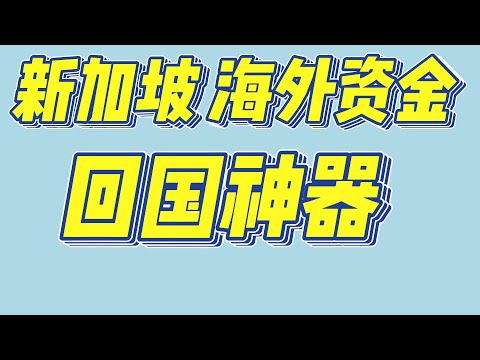 走资世界 海外资金回国 新加坡 新加坡海外资金回国神器 不受外汇额度限制 | 海外资金回国 | 秒杀 wise 熊猫速汇 等一众汇款工具 操作简单 成本低 人人可用 支持第三方 安全靠谱 白资到账