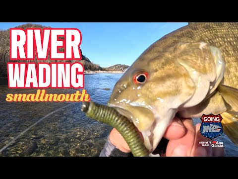 Epic Smallmouth Action at Harper's Ferry! Ned Rig Secrets Revealed