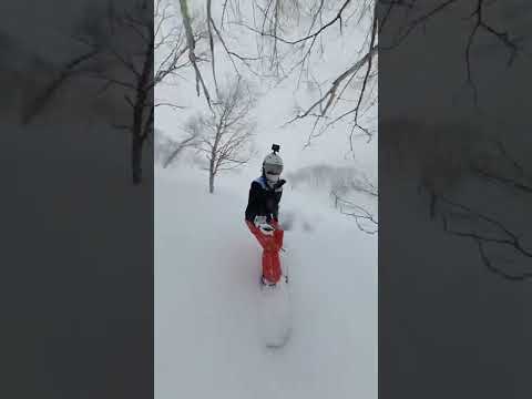 3月雪沒想到還能下那麼大～來樹林區玩玩🤩都是軟軟的雪