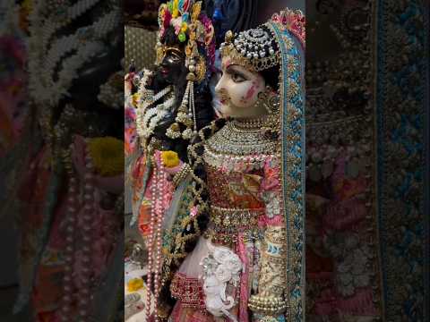 राधे तेरे चरणों की यदि धूल जो बन जाएं तकदीर बदल जाए #radhakrishna #vrindavan #bankebihari