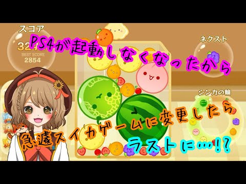 【スイカゲーム】急遽変更してフルーツサバイバル【たまにASMR】