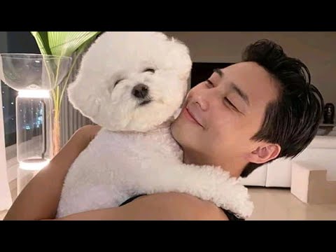 Viral Dogs Of Korean Actors COMPILATIONS| Lee Min Ho,Park Seo Joon,Song Joong Ki,Ji Chang Wook etc.