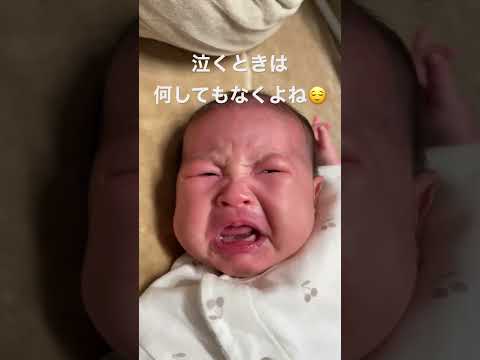 【好きなだけ】お顔真っ赤にして泣くあかちゃん【泣いていいのよ】