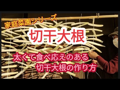 【切干大根】今年も作りました。「太くて食べ応えのある切干大根」簡単です【家庭菜園シリーズ】