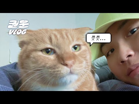 쉬는 날(?)브이로그 | 강남가서 마라톤 뛰고 고양이 닦는 [권운 VLOG]